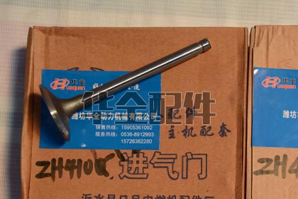 ZH4100D進(jìn)排氣門(mén)