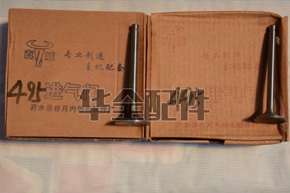 495系列 進氣門